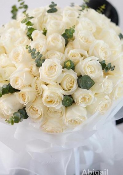 白玫瑰的花语（白玫瑰的花语和寓意6朵花）