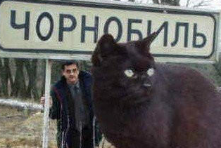 乌克兰巨猫（乌克兰巨猫事件真相是什么）