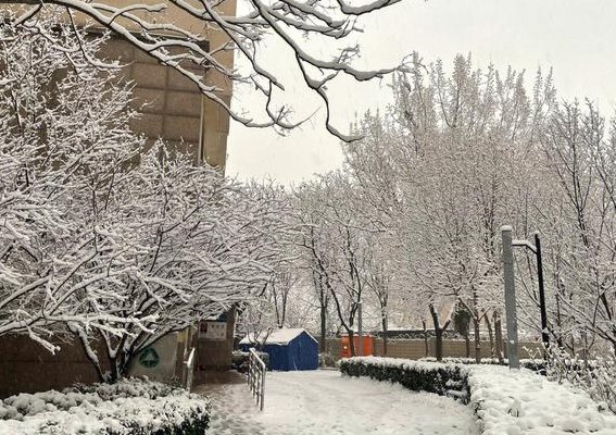 北京什么时候下雪（北京什么时候下雪2023年冬天）